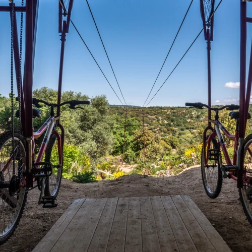 Footer Primary Without Banner