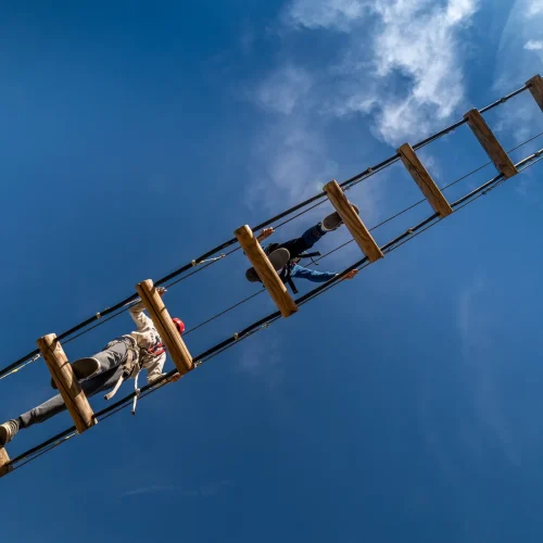 Footer Primary Without Banner