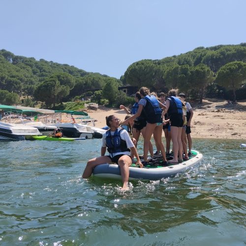 Footer Primary Without Banner