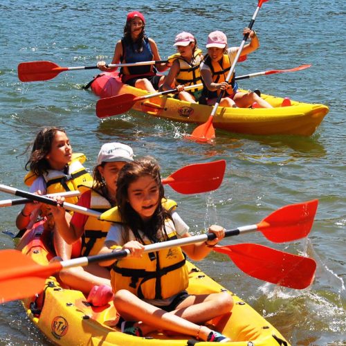 Footer Primary Without Banner