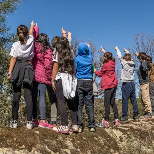 Footer Primary Without Banner