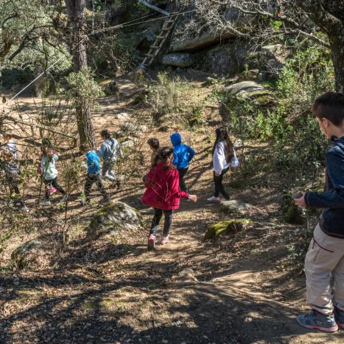 Footer Primary Without Banner