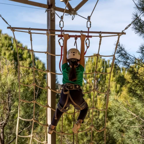 Footer Primary Without Banner